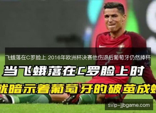 飞蛾落在C罗脸上 2016年欧洲杯决赛他伤退后葡萄牙仍然捧杯 飞蛾落在C罗脸上 2016年欧洲杯决赛他伤退后葡萄牙仍然捧杯